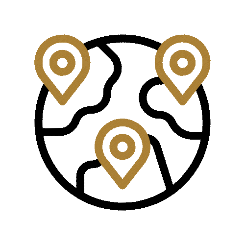 Globe Icon